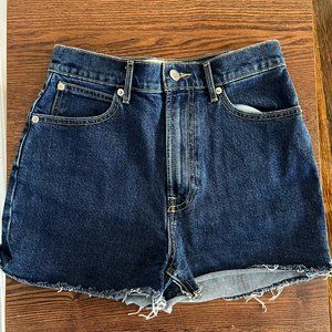 Everlane Way High Denim Short